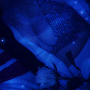 久久久综合网陈冠希
