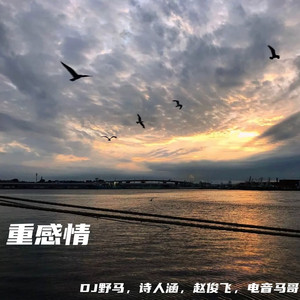 九九视频免费在线观看
