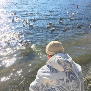 久久久综合网陈冠希
