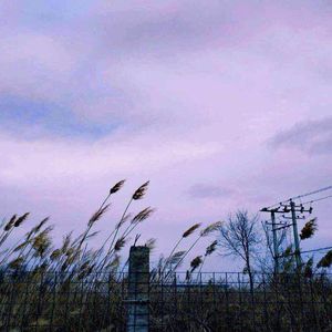 快穿被各种男人啪H男男视频
