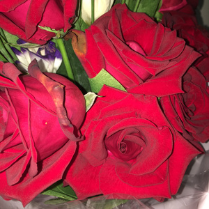 日本美女脱内衣在床上摸胸艹鸡视频
