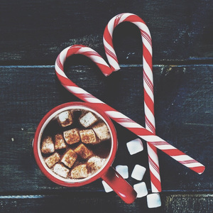 鉴黄师污版下载
