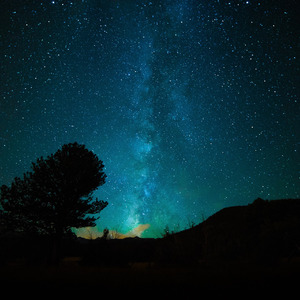 纲手被扒开腿无尽
