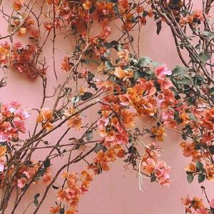 四川儿媳黄A妇免费
