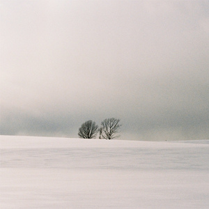 亚洲最大在线观看
